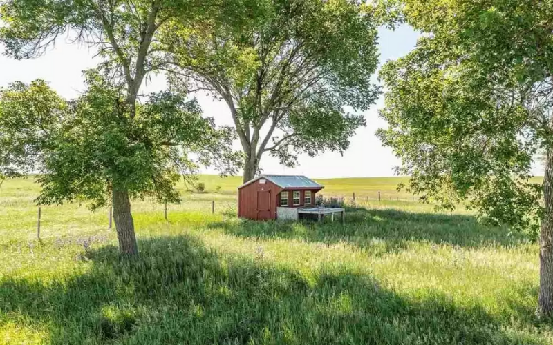 chicken coop