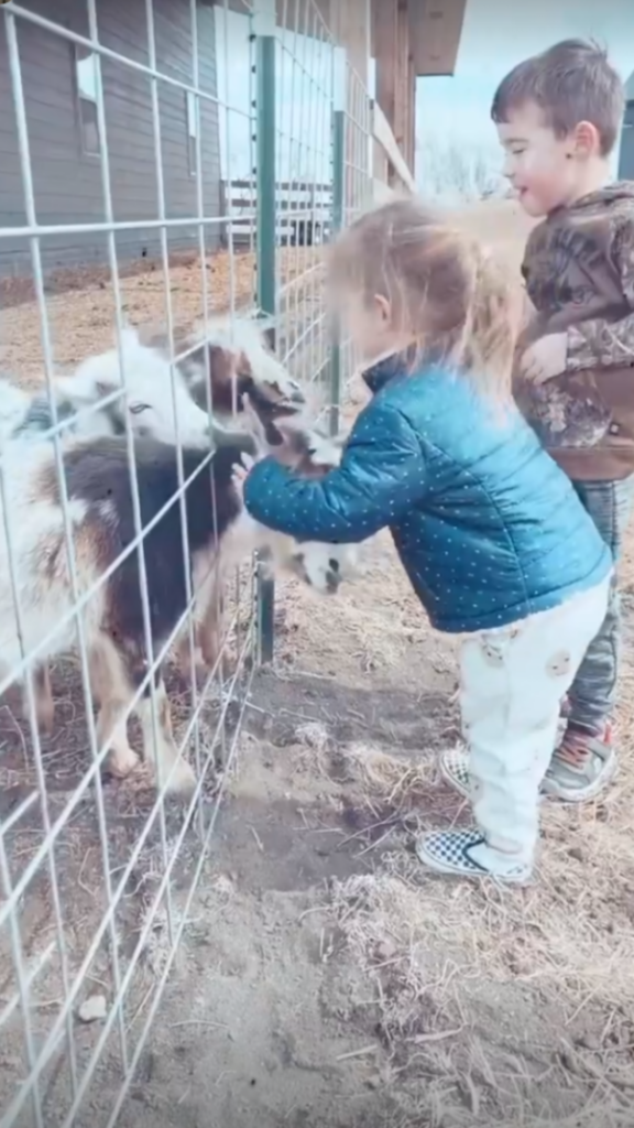 chelseas kids with goats